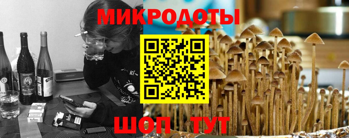 Корсаков  Галлюциногенные грибы мицелий  Вход с VPN 